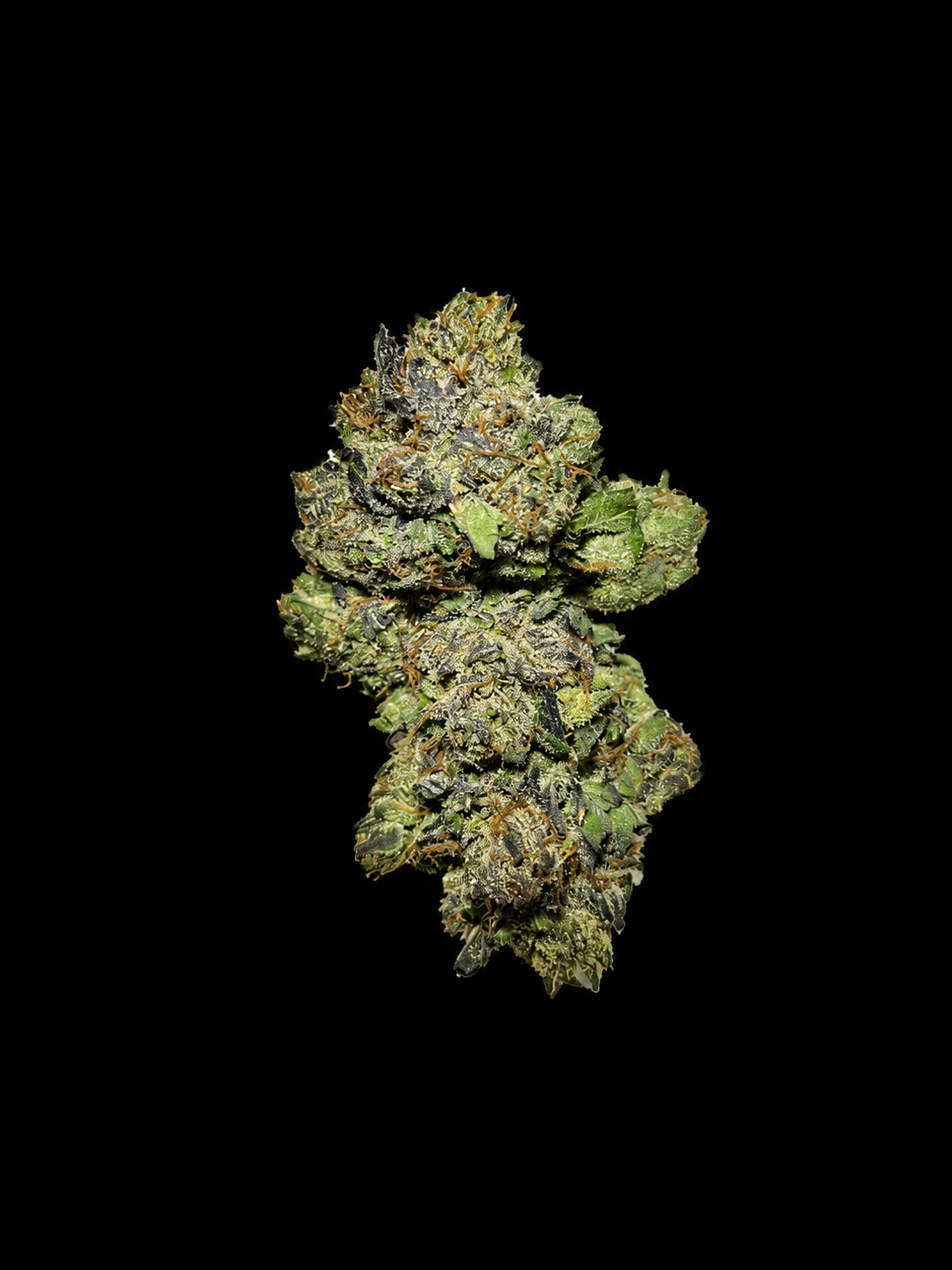 Oz of Buba Kush