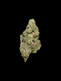 OZ of Gas Face