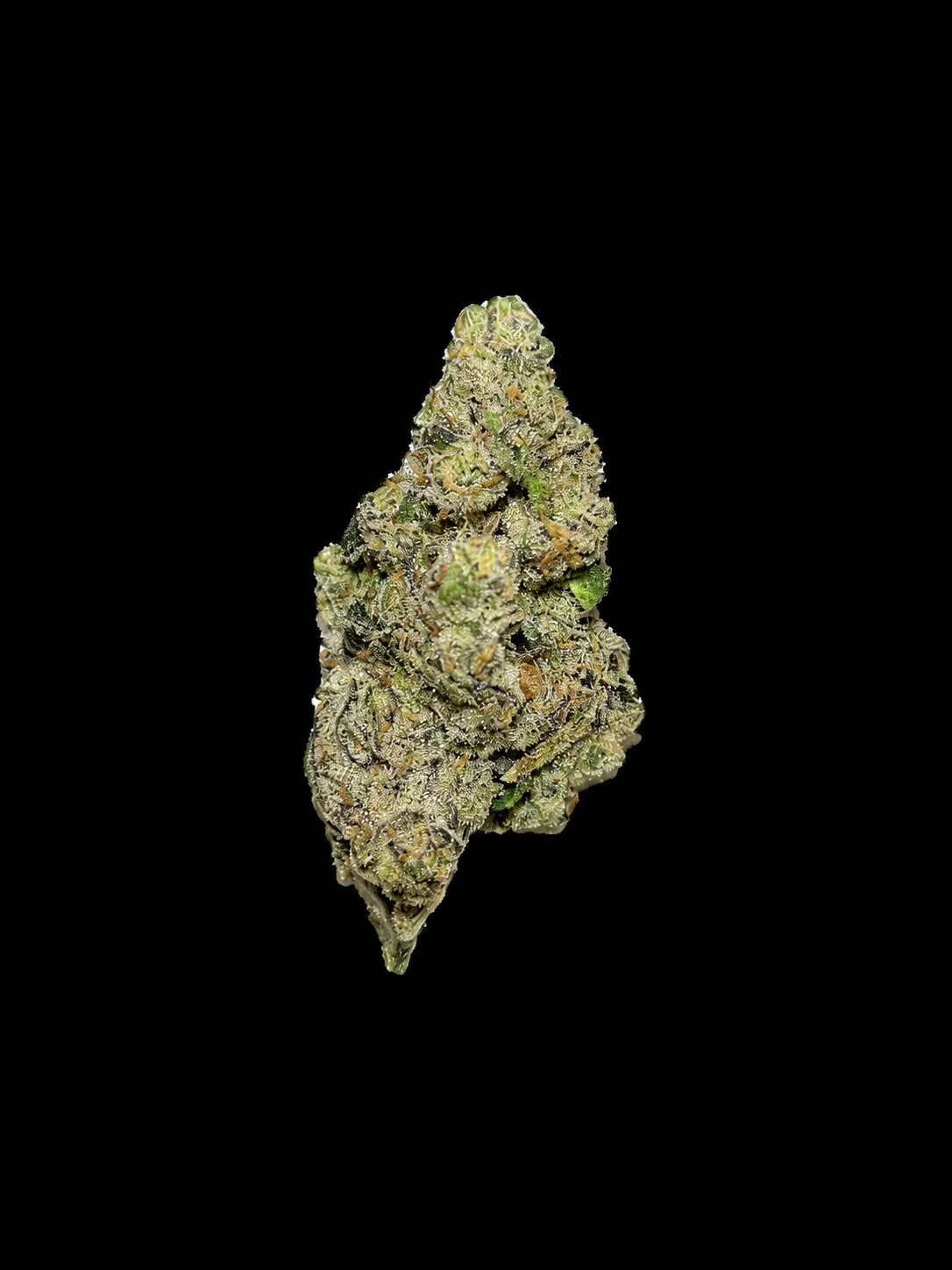 OZ of Gas Face