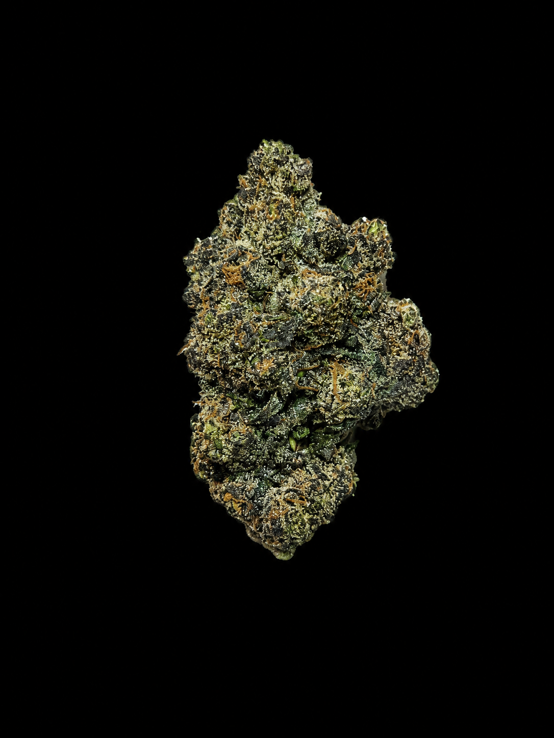 Oz of M.O.B.