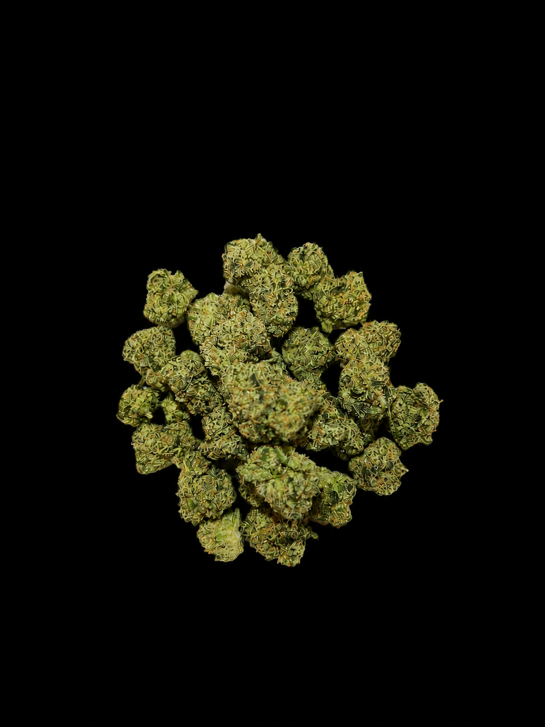 Oz of Pineapple Zikigai
